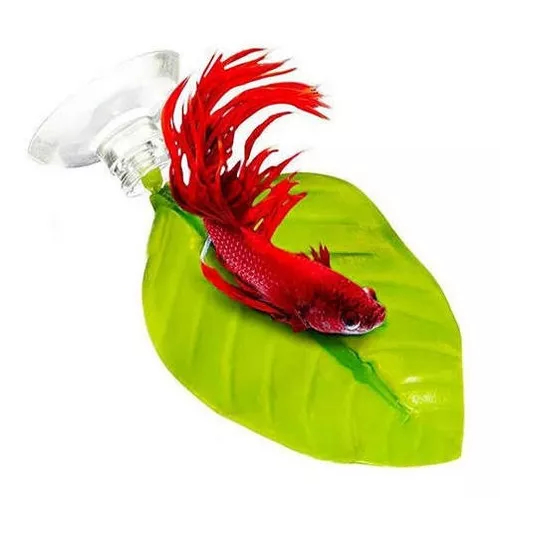 Folha de Descanso para Peixe Betta – Antiestresse, Atóxica, Conforto e Bem-Estar no Aquário em Oferta na Shopee
