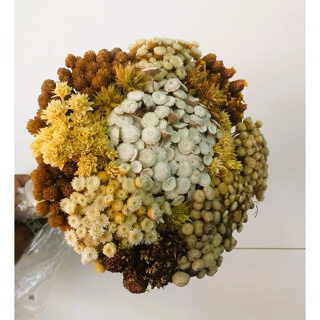 mix de sempre vivas em Oferta na Shopee