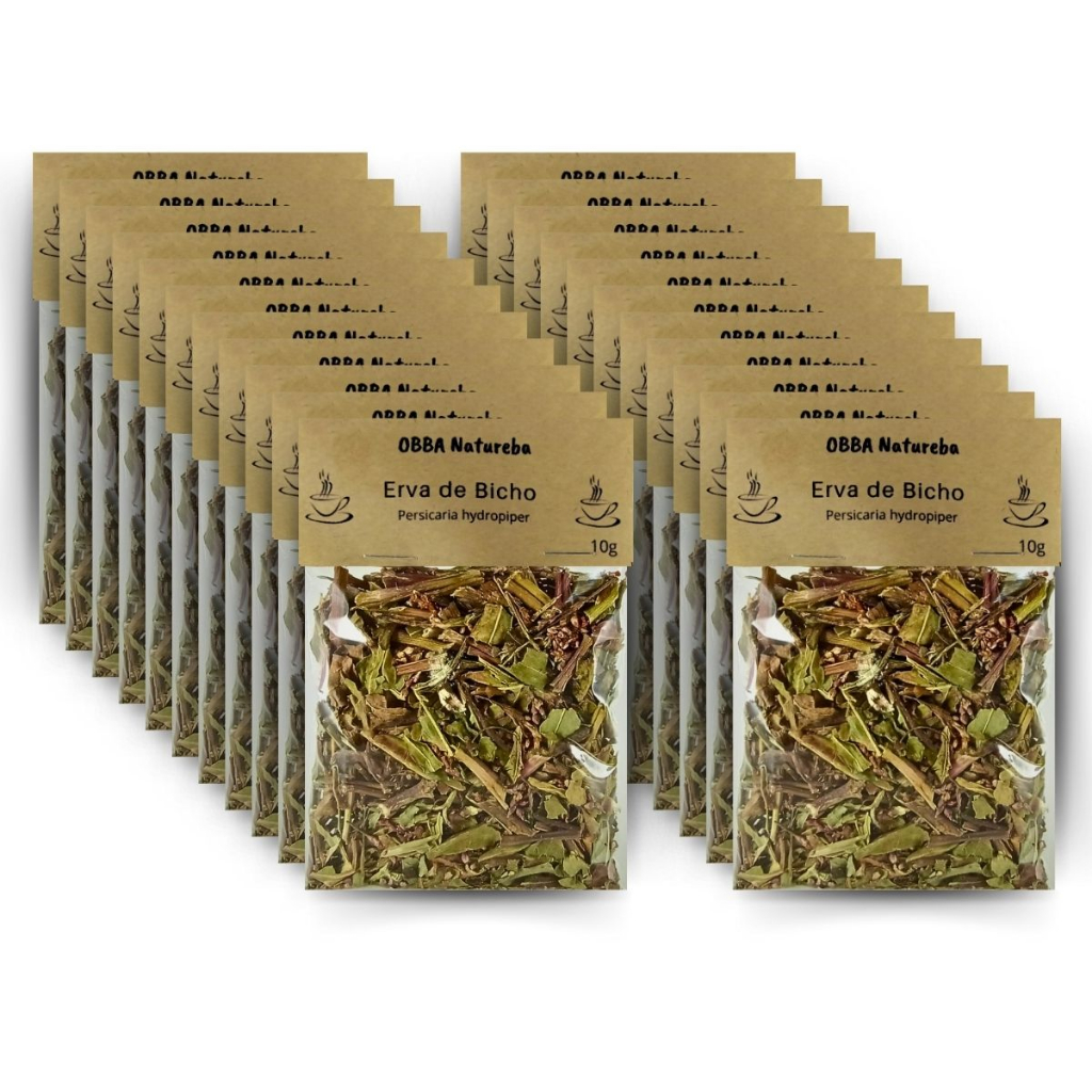Kit com 20 Chás Erva De Bicho 100% Natural - Verdadeiro Persicaria Punctata Próprio para Chá