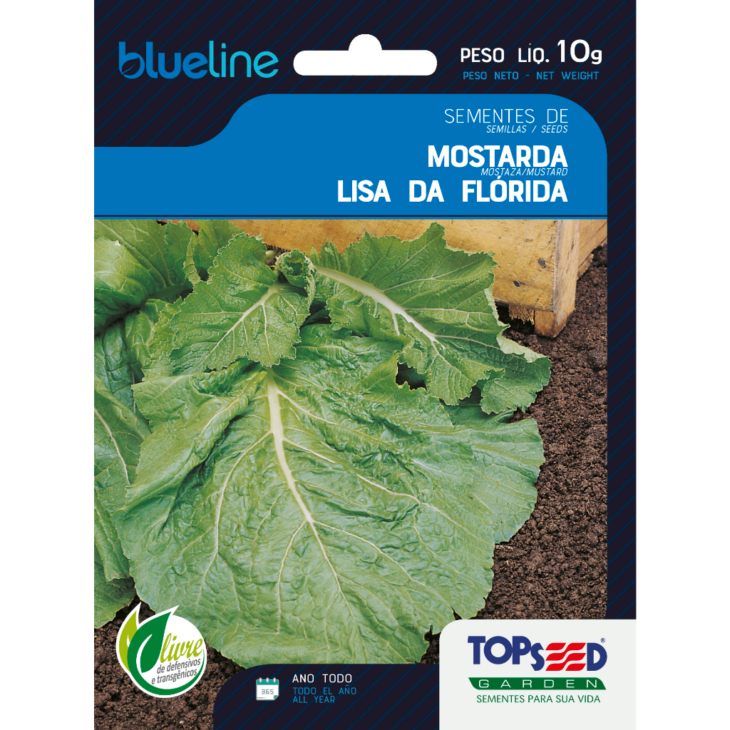 Mostarda Sementes de Mostarda 10 grama Blue Line 4.000 sementes