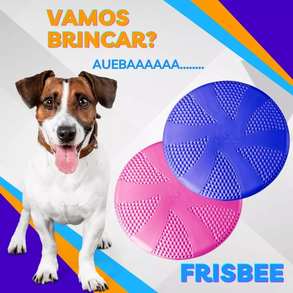 Frisbee Aerodinâmico: Onde Comprar | BuscaProdutos