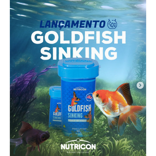 LANÇAMENTO ração que afunda para Kinguios Goldfish Sinking Nutricon