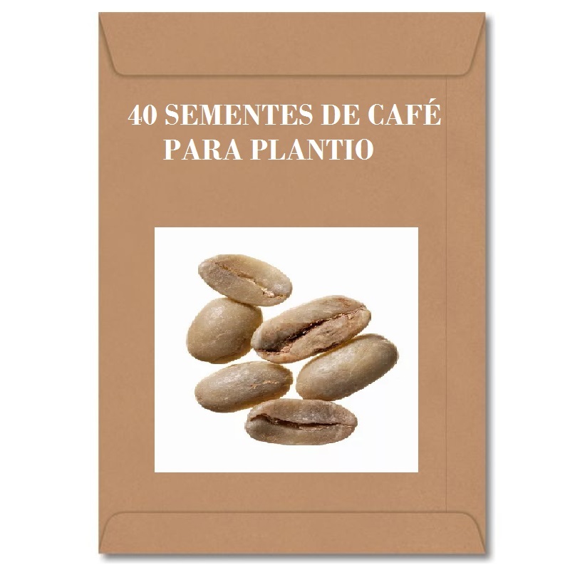 40 Sementes Para Cultivo De Mudas Do Café Orgânico Arabica. Sementes Do Real Café Arábica Para Plantar Em Vaso!