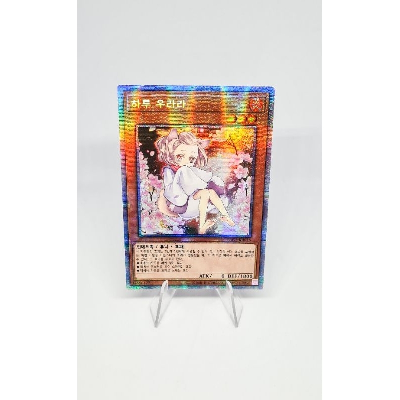 PAC1-KR016 - Korean Yugioh - Ash Blossom & Joyous Spring (Alt) - Prismatic