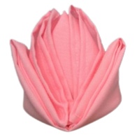 Kit 20 Guardanapos em Tecido Oxford 40 x 40 cm com Bainha Mesaposta Barato em Oferta na Shopee