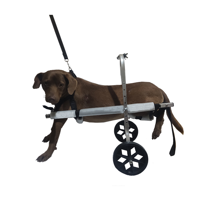 Cadeirinha Rodas para Cachorro - Comprar com Melhor Preço em Acessórios para Animais de Estimação