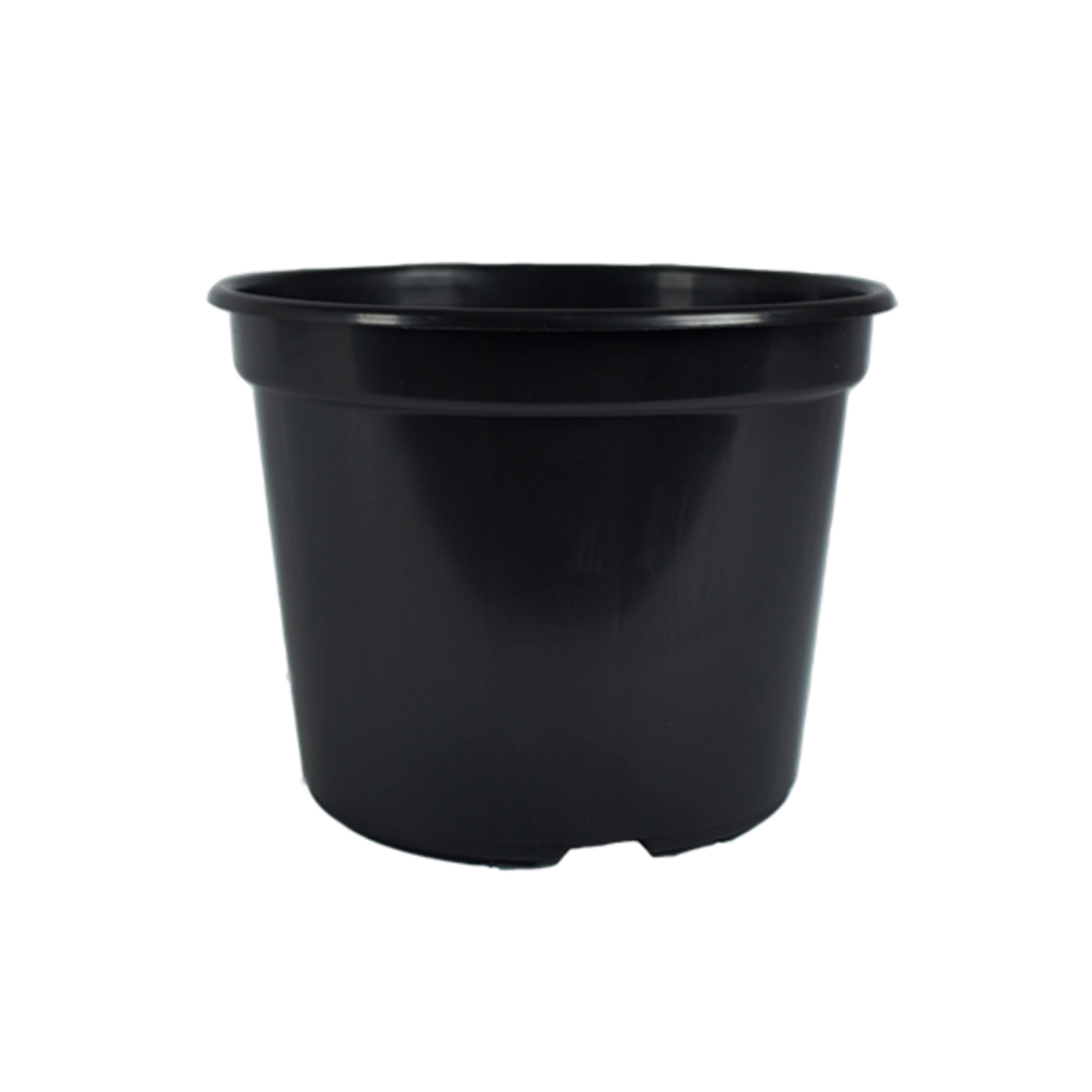 Kit 100 Vasos Plásticos Pote 15 de 1 Litro Cor Preta Para Suculentas, Violetas, Cactos, Mudas e Art