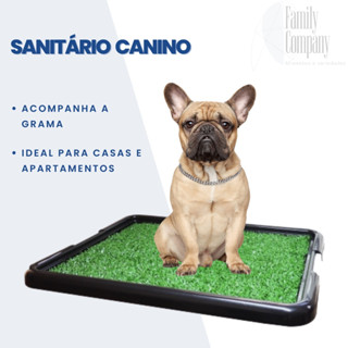 Sanitário Higiênico Para canina xixi Cachorro verde Tapete Com Grama sintética