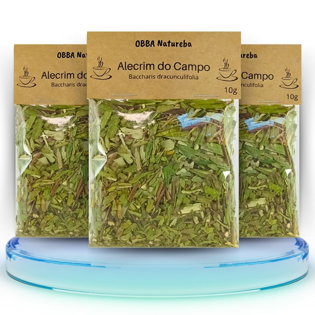 Kit 3 pacote Alecrim do Campo Verdadeiro Alecrim-de-Vassoura próprio para Chá