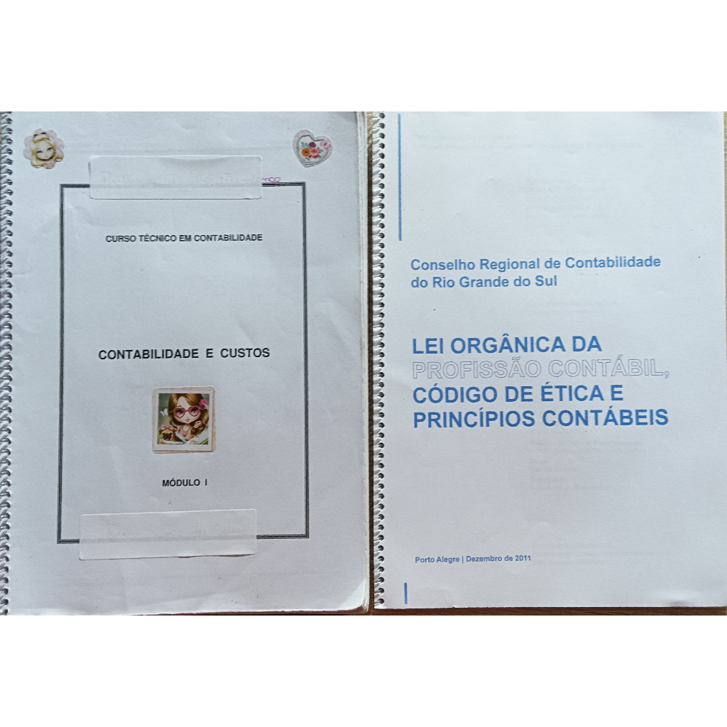 CURSO TECNICO EM CONTABILIDADE/LEI ORGANICA DA PROFISSÃO CONTABIL, CODIGO DE ETICA E PRINCIPIOS CONTABEIS