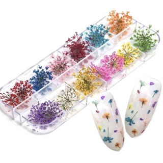 12 Flores Secas Encapsulamento Decoração Unhas De Gel