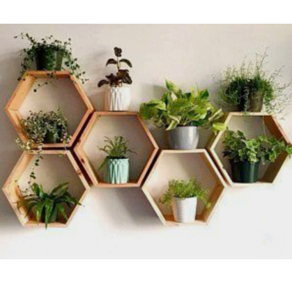 5 Nichos Colmeia Decorativos de Ambientes Madeira Pinus