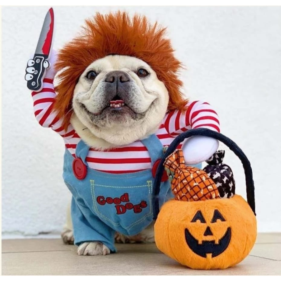 Roupa pet Fantasia Pet de Halloween Boneco Chucky , cosplay Engraçado Para Cachorro e Gato para festa dia das bruxas