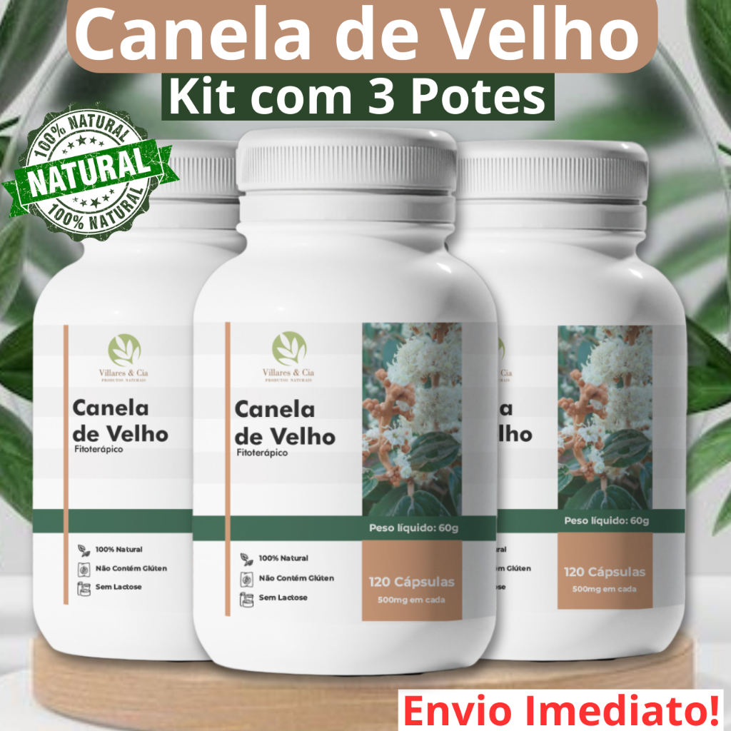 Kit 3 Canela de Velho  - 360 Cápsulas 500mg - Original -  Canela de Velho Capsulas