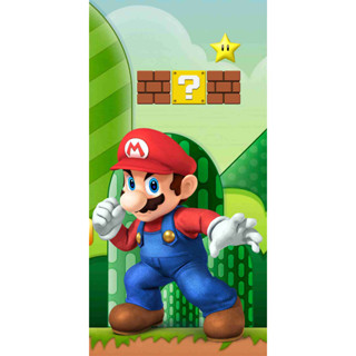 Painel Lateral em Tecido Sublimado Mario e Lui 3