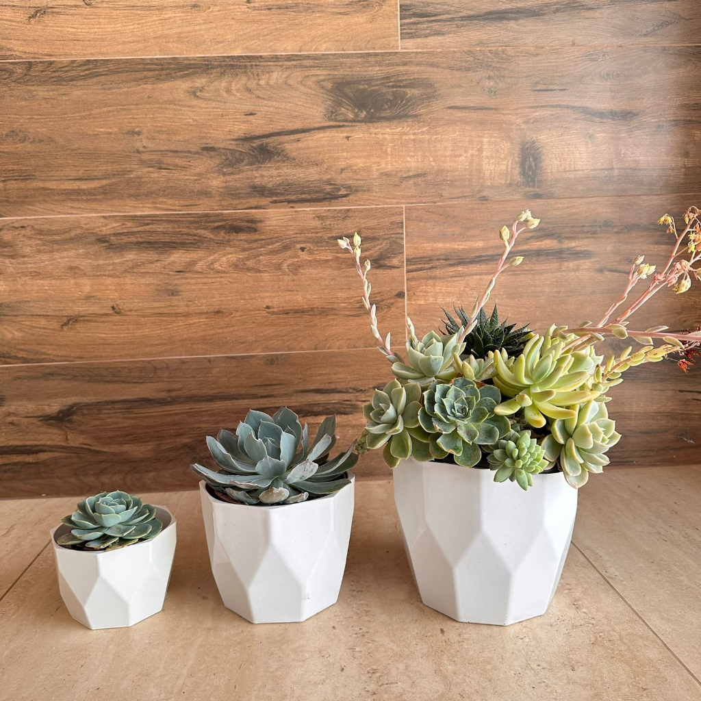 Kit Jogo 3 Vasos para Plantas Decorativo Cachepô Liso Injetado Centro Mesa Suculentas Cactos