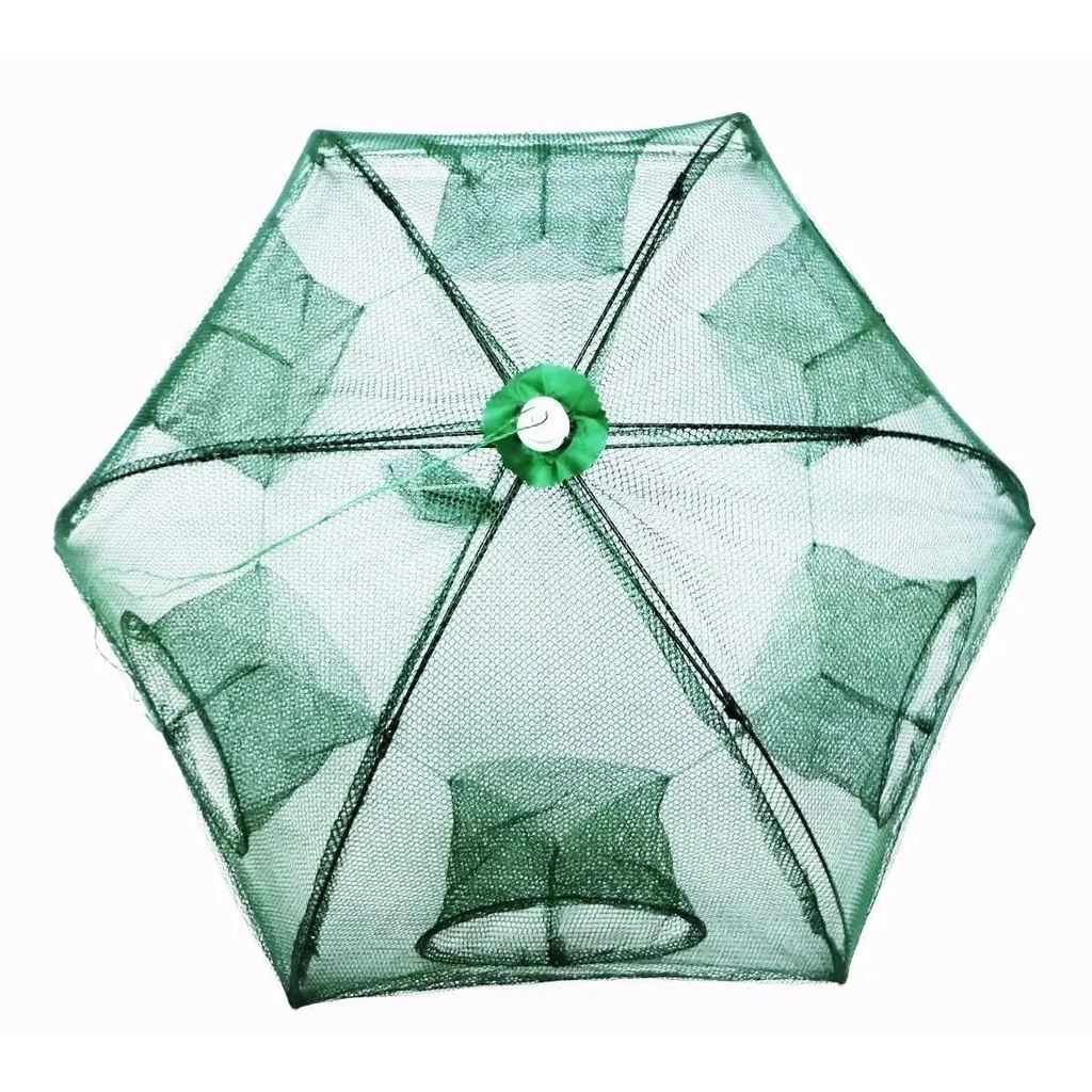 Armadilha Covo Isca Viva Lambari Siri Pesca Tucunaré Traíra