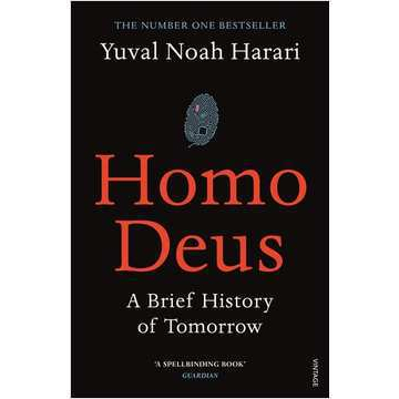 Homo Deus: ‘An intoxicating brew of science, philosophy and futurism’ Mail on Sunday livro/ livros /livros usados