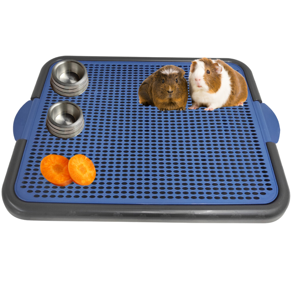 Tapete Sanitário Banheiro Higiênico Porquinho Da Índia Coelho Xixi Pet