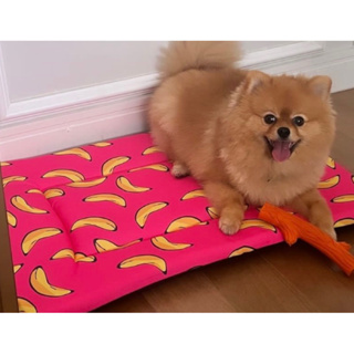 Colchonete Caminha Pet sem zíper Gato Cat Dog Cão Cachorro Coelho TAMANHO ÚNICO em Oferta na Shopee