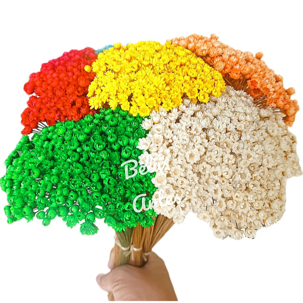 300 Mosquitinhos Flor Sempre Viva Natural em Oferta na Shopee