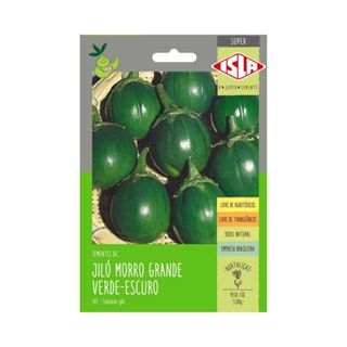2.400 SEMENTES JILÓ VERDE ESCURO - JILO MORRO GRANDE em Oferta na Shopee