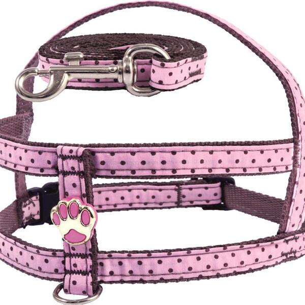 Conjunto Peitoral Pet Luxo E Guia Nylon Chocolate Rosa Premium Aço inox Cachorro Gatos Pet shop