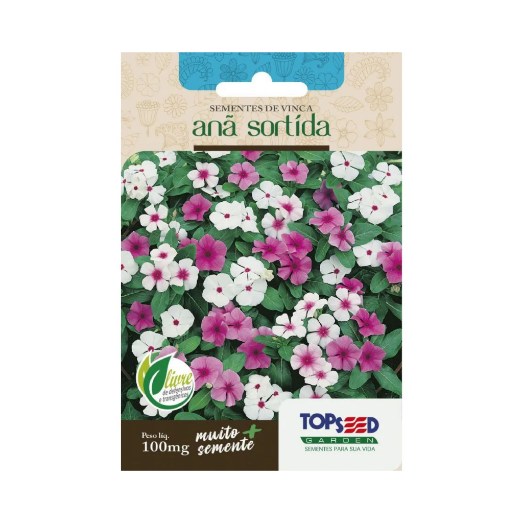 SEMENTES DE VÍNCA ANÂ SORTIDAS - SEMENTES DE FLOR BOA NOITE - VINCA ANA em Oferta na Shopee