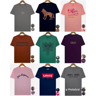Camisa Masculina Tamanho M Multimarcas Premium a Pronta Entrega