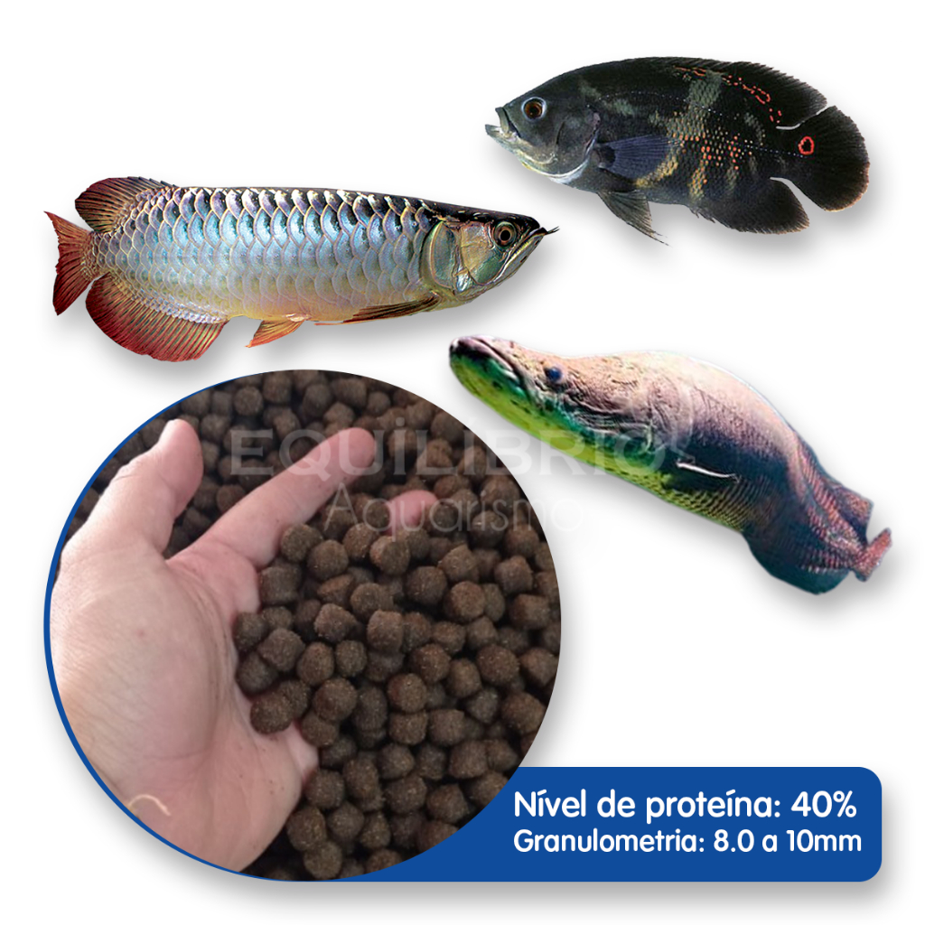 Ração P/ Peixes Carnívoros Pirarucu, Aruana E Outros (10mm) 5 Kg