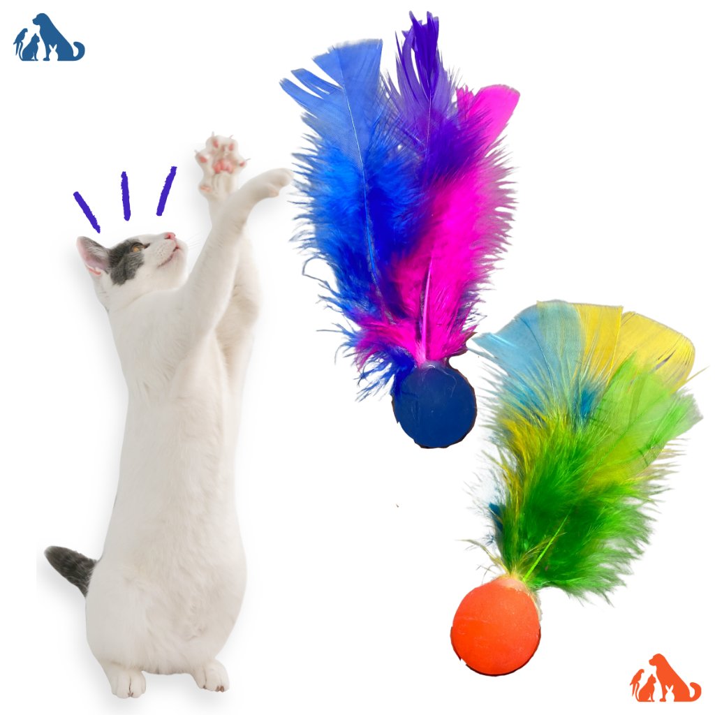 Ping Pula Pula Bola para gatos com Pena Para Gatos Promoção 2 Unidades