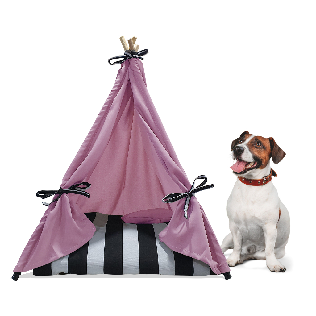 Kit Cabana Pet Cachorro Gato Caminha Indio Festa Rosa Com Colchão G