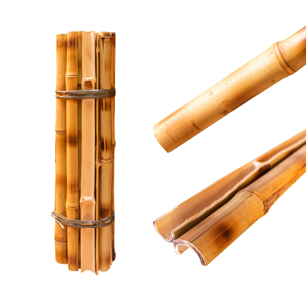 Bambu Tratado para Cerca: Onde Comprar | BuscaProdutos