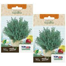 2x Sementes De Tomilho Aromática Temperos Ervas Hortas Salada em Oferta na Shopee
