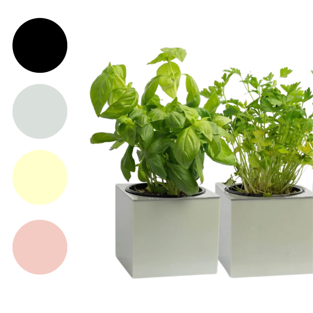Vaso Quadrado Autoirrigavel 10cm x 11cm Horta Inteligente Mini Horta Suculenta Decorativo