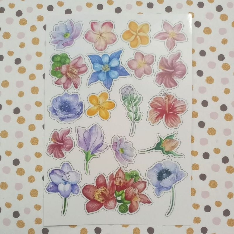 Cartela adesiva diversas flores, cartela de adesivo com várias flores e cores