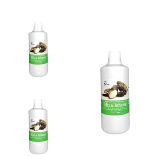 3 und Inhame - Garrafa 500ml (cada)