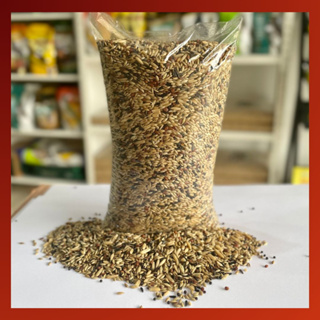 Mistura Premium para Canário Belga e Canário da Terra Val.05/12/26 em Oferta na Shopee