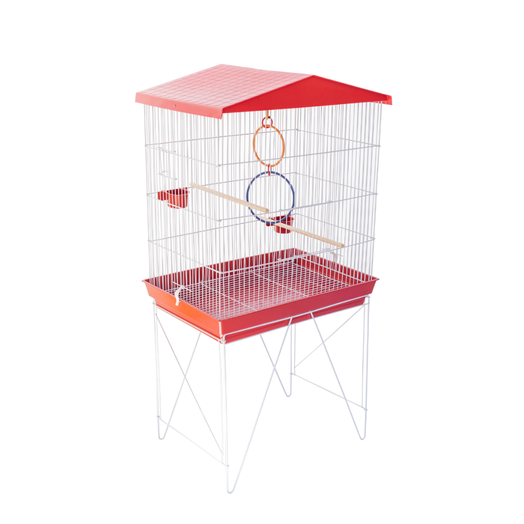 Gaiola para Periquito Australiano Grande: Onde Comprar | BuscaProdutos