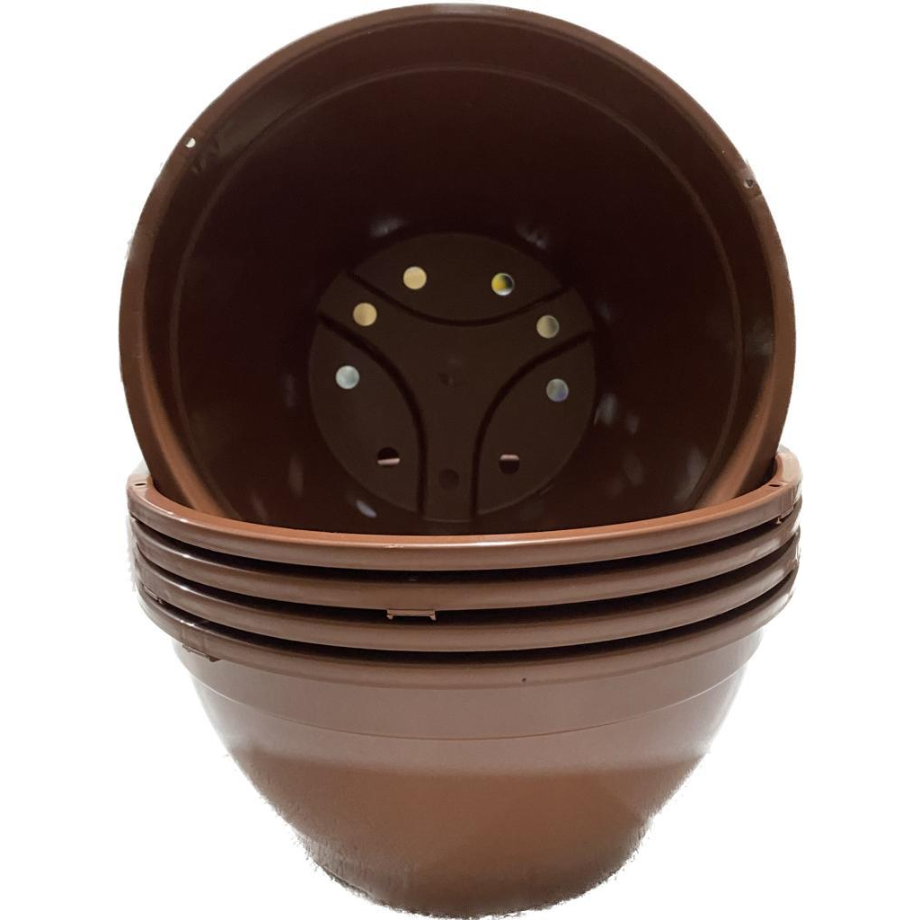 Kit 5 cuias 25 na cor marron em Oferta na Shopee