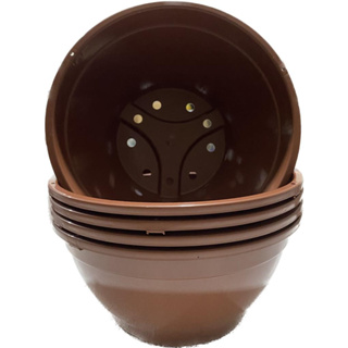 Kit 5 cuias 25 na cor marron em Oferta na Shopee