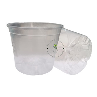 25 Vasos Para Orquídeas Com Cone Plástico Transparente Pote 15