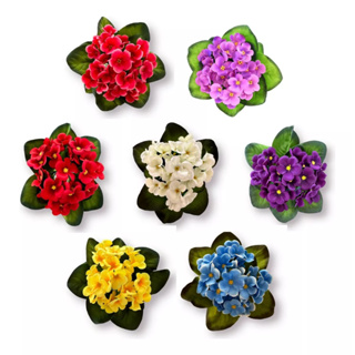 Buquê de Violetas Artificiais 8 Cores Diferentes e Vibrantes Escolhas as cores de sua preferência em Oferta na Shopee