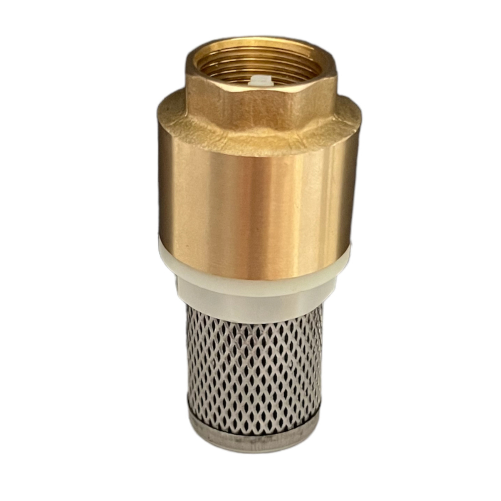 Válvula De Retenção Fundo De Poço Com Tela Inox