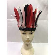 O que é Cocar de Índio? Guia e Onde Comprar | BuscaProdutos