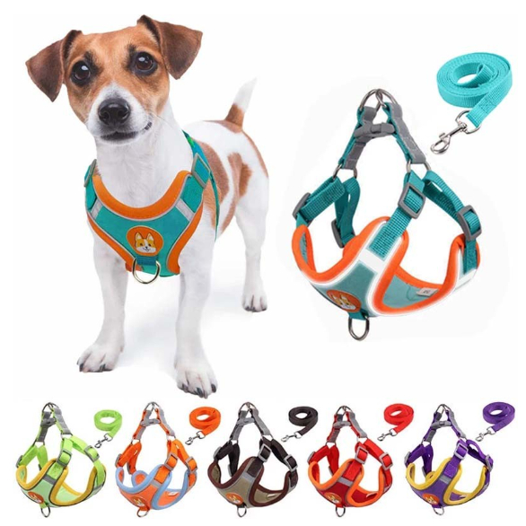Coleira Peitoral Cachorro E Gato, Conjunto De Guia + Coleira Tipo Colete Para Pet Pequenos E Médios - Abcshop