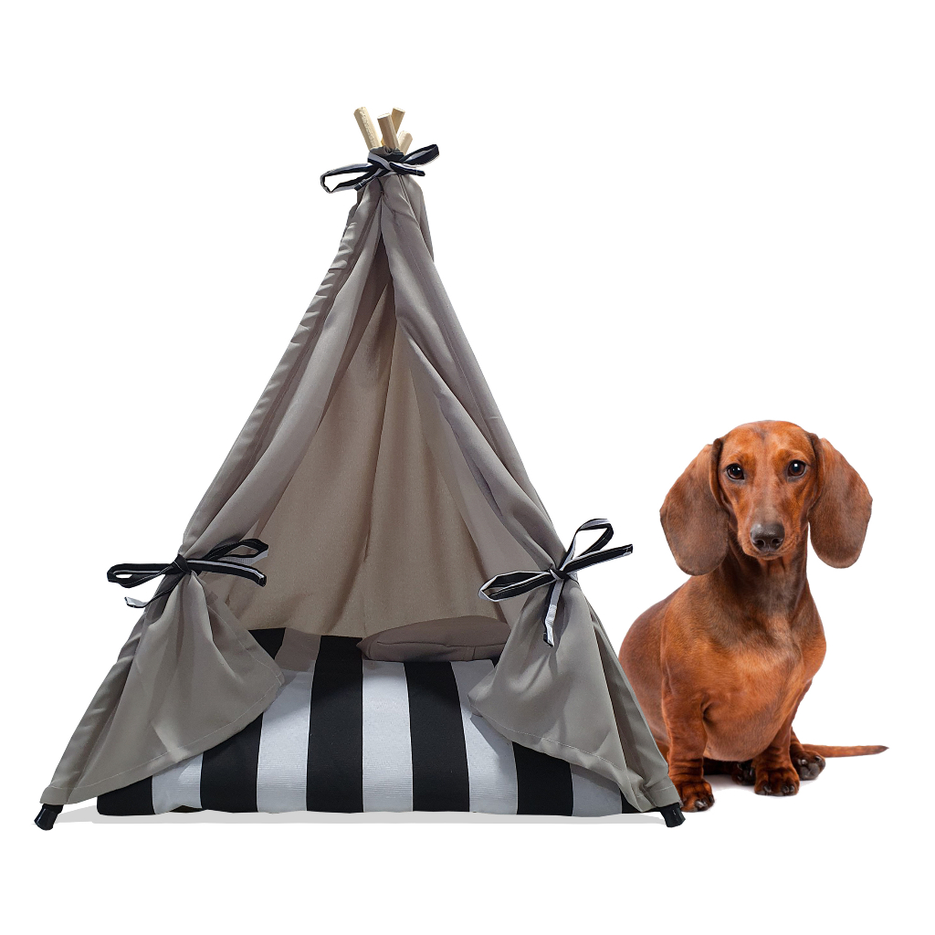 Kit Cabana Indio para Cachorro Gato Pets Caminha com Colchão M Cinza