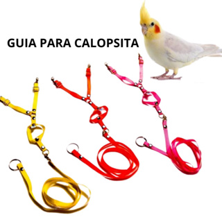 Coleira para Calopsita Com Guia Peitoral Aves Periquito Aves Linha Premium Acessório Pet Oferta em Oferta na Shopee