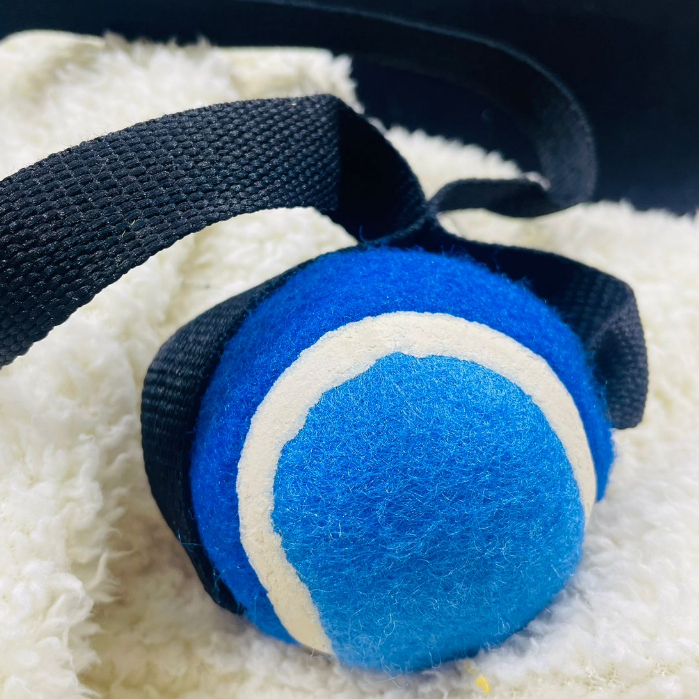 Bolinha Brinquedos Bola Pet Cachorro Diversão Multicolorda Poliéster Borracha Brinque Com o Seu Mascote com Cordão