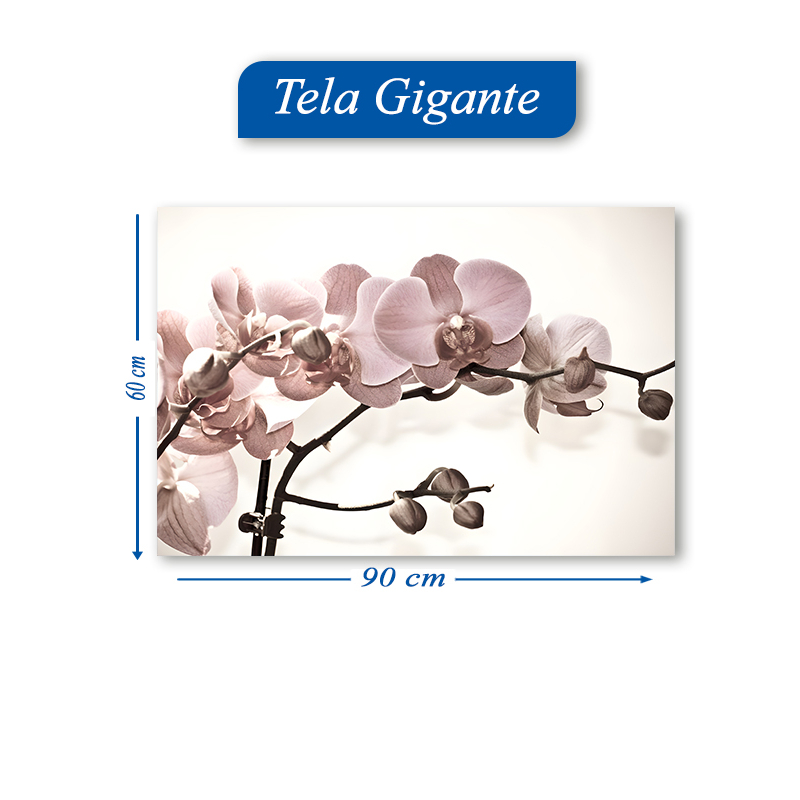 Quadro Decorativo 90x60cm Flor Rosa Cerejeira Pétalas Planta